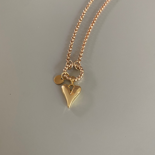 Hypoallergeen titanium sieradenset met 14k vergulde ketting en armband, voorzien van verwisselbare bedels