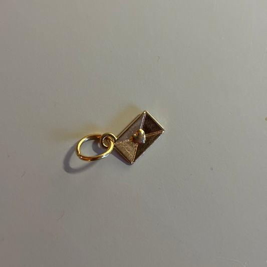 bedel rvs envelop met hartje