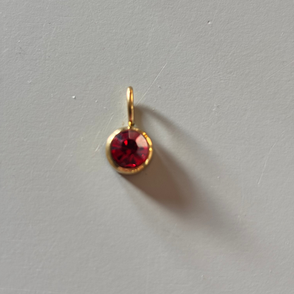 Geboortesteen bedel per maand, stainless steel januari