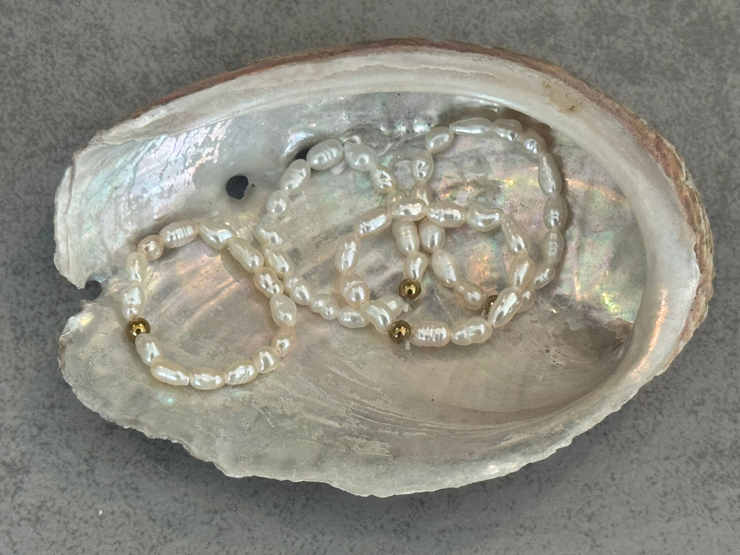 Schelp met daarin zoetwaterparel stretch ringen met RVS bolletje.