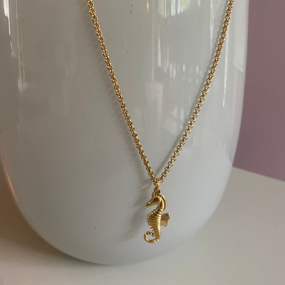 Vergulde RVS ketting met daaraan een 14K verguld zeepaardje als bedel.