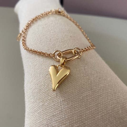 14k vergulde armband van hypoallergeen titanium, verstelbaar tot 21 cm, met ovale connector voor verwisselbare bedels.